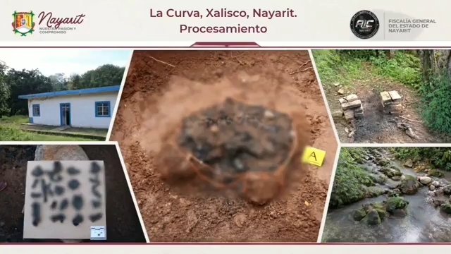 ‘Movías la maleza y salía un huesito’, dice buscadora sobre sitio de exterminio en Nayarit