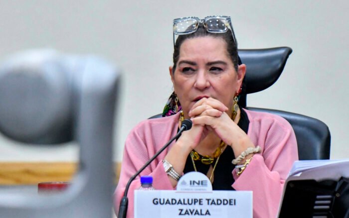 ‘No me voy’: Taddei habría rechazado dejar el INE y estaría a la espera de que las cosas ‘se enfríen’