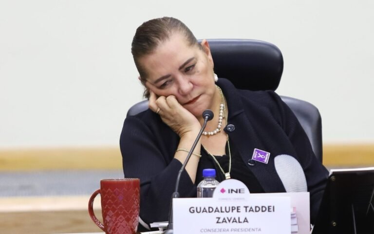 Sheinbaum exige investigar posibles abusos en el INE y frenar ataques a Taddei