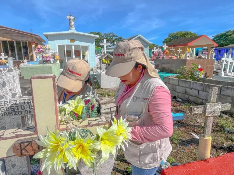 tamiahua-fumigacion-abate-panteones-dia-muertos-2026-10-27-origen
