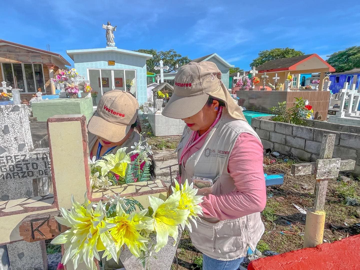 tamiahua-fumigacion-abate-panteones-dia-muertos-2026-10-27-origen