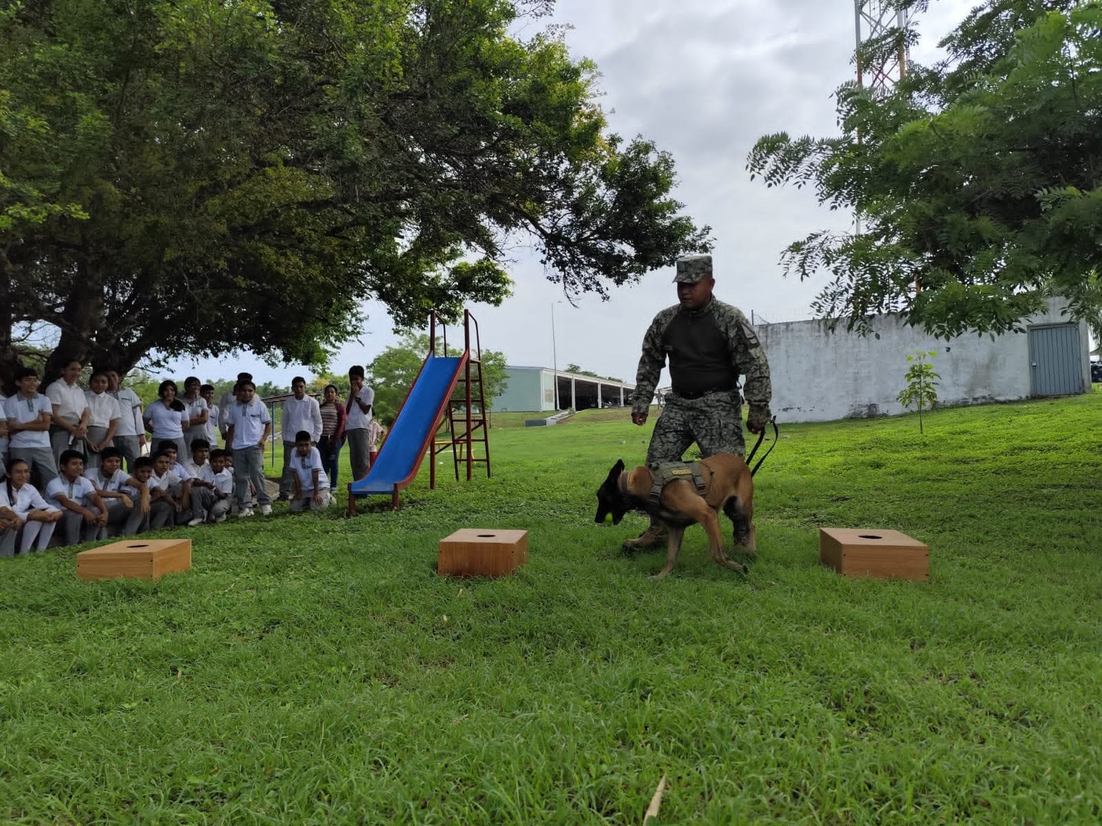 Demostración canina
