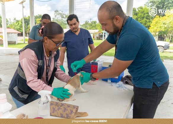 tuxpan-jornada-atencion-animal-paises-bajos-2026-10-14-origen