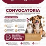 tuxpan-padron-protectoras-animales-2026-origen
