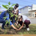 tuxpan-reforestacion-bulevar-palo-de-rosa-2026-10-13-origen
