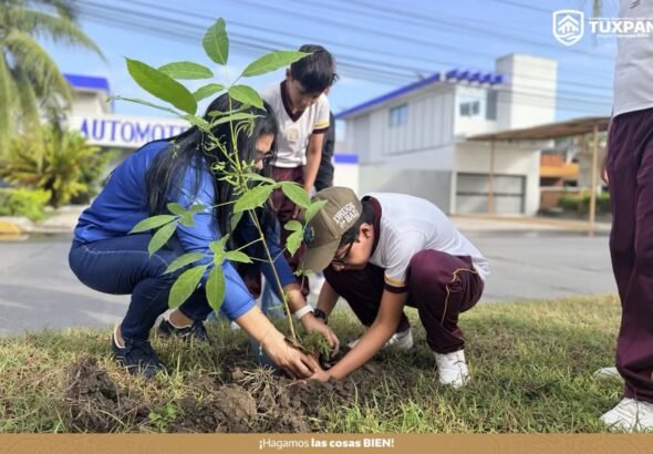 tuxpan-reforestacion-bulevar-palo-de-rosa-2026-10-13-origen