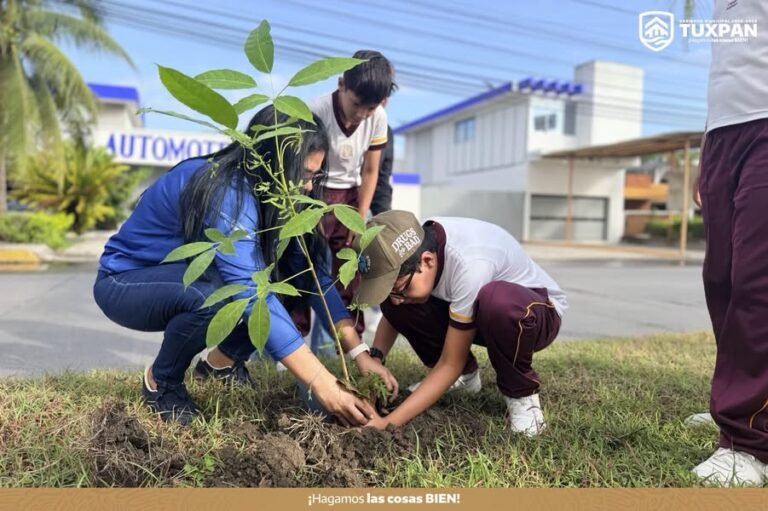 tuxpan-reforestacion-bulevar-palo-de-rosa-2026-10-13-origen