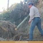 tuxpan-retiro-arbol-deslave-2026-10-29-origen