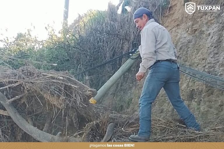 tuxpan-retiro-arbol-deslave-2026-10-29-origen